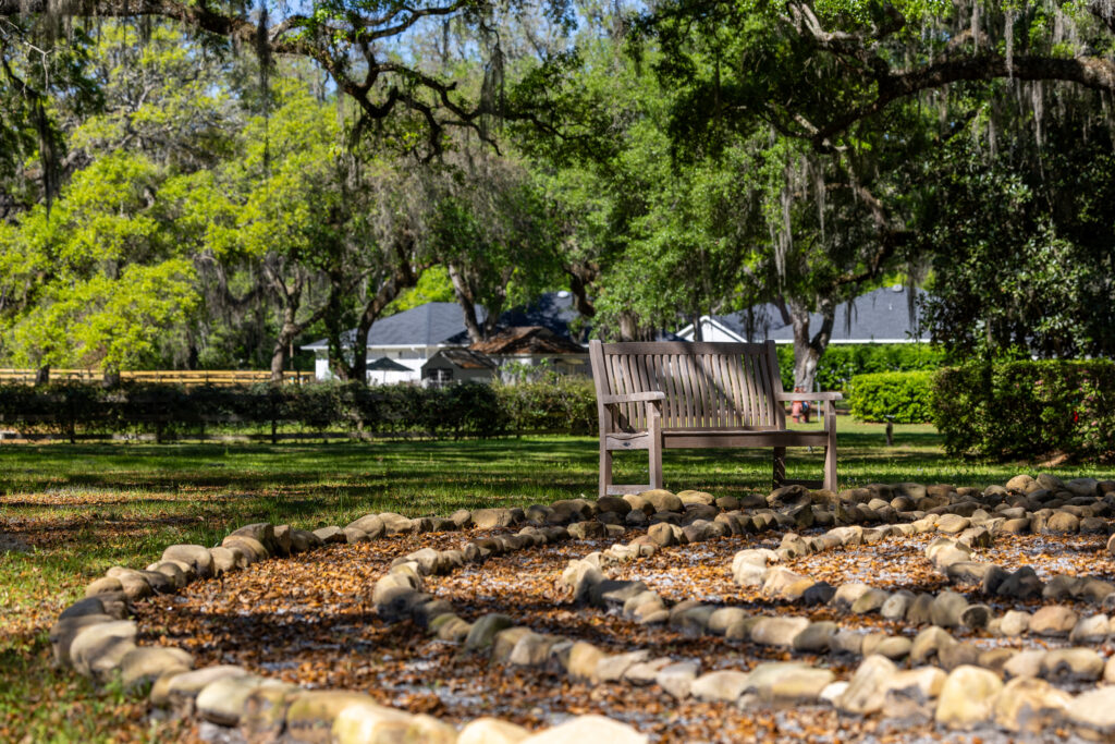 Serene Outdoor Area at The guest house