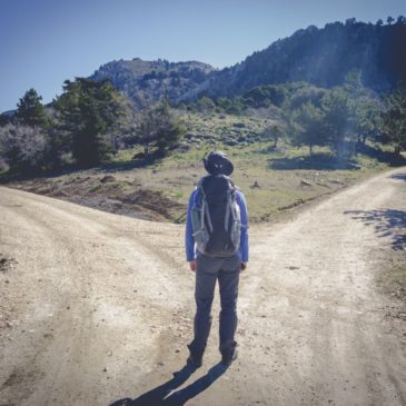 Pathways to Addiction