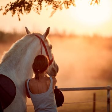 What Is Equine Therapy and How Can It Help Those Suffering from Mental Health and Addiction Issues?