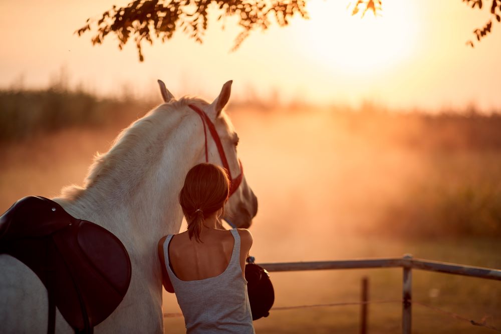 What Is Equine Therapy and How Can It Help Those Suffering from Mental Health and Addiction Issues?