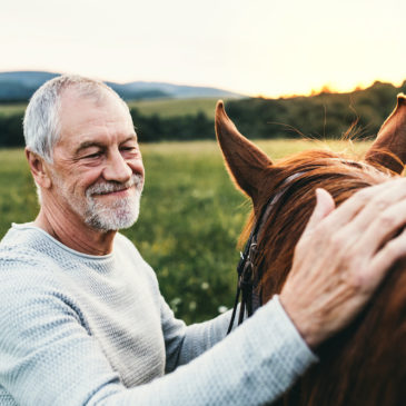 Equine Therapy