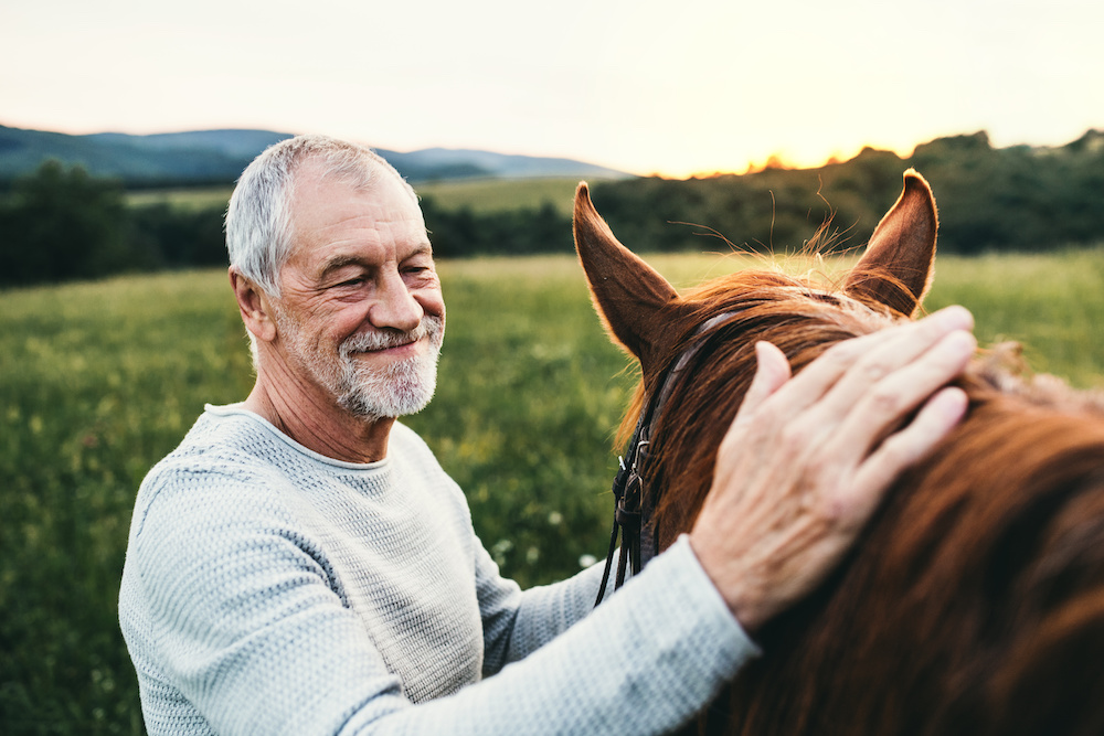 Equine Therapy