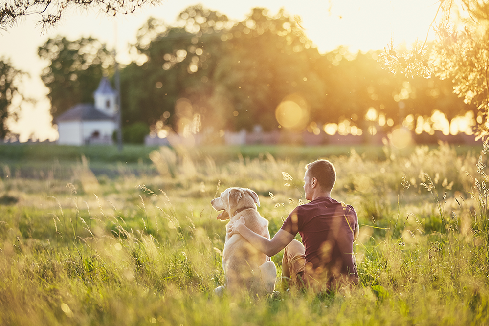 pets and mental health