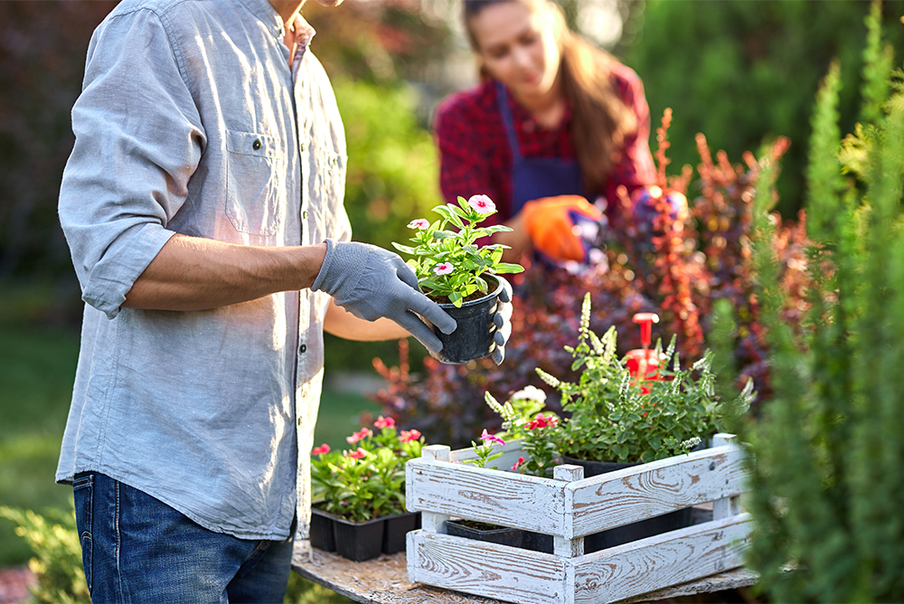 gardening in recovery