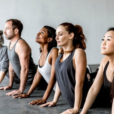 Group of people doing yoga