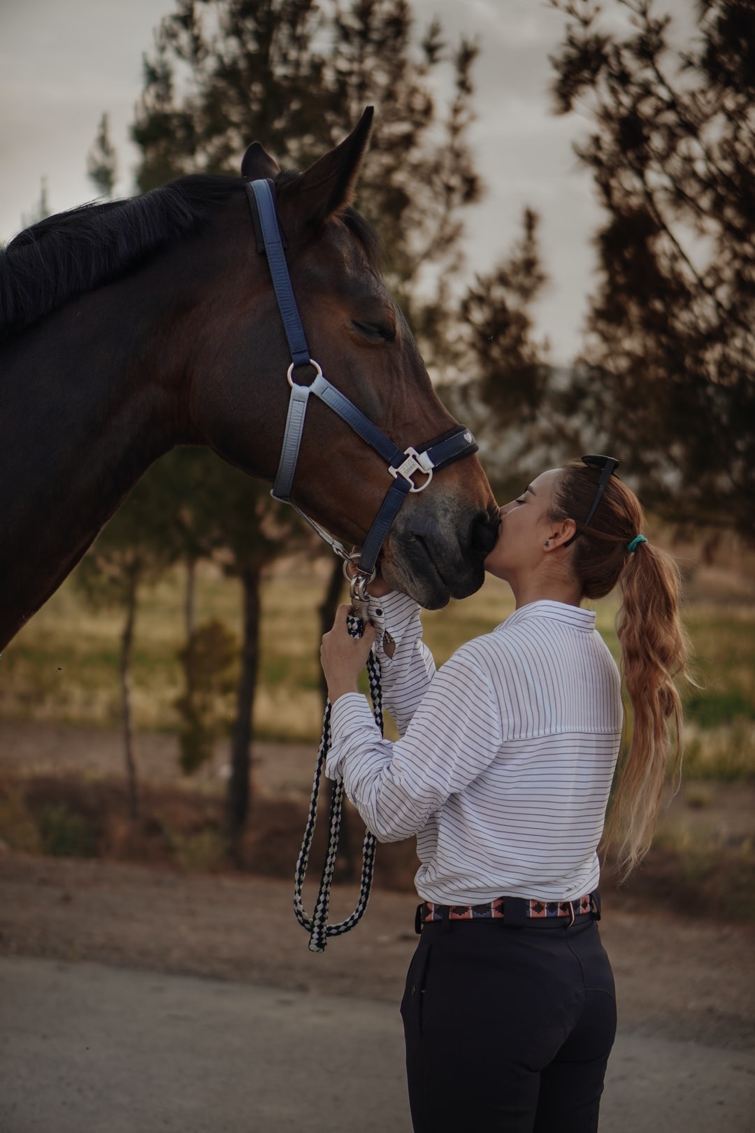 How Does Equine Therapy Work?