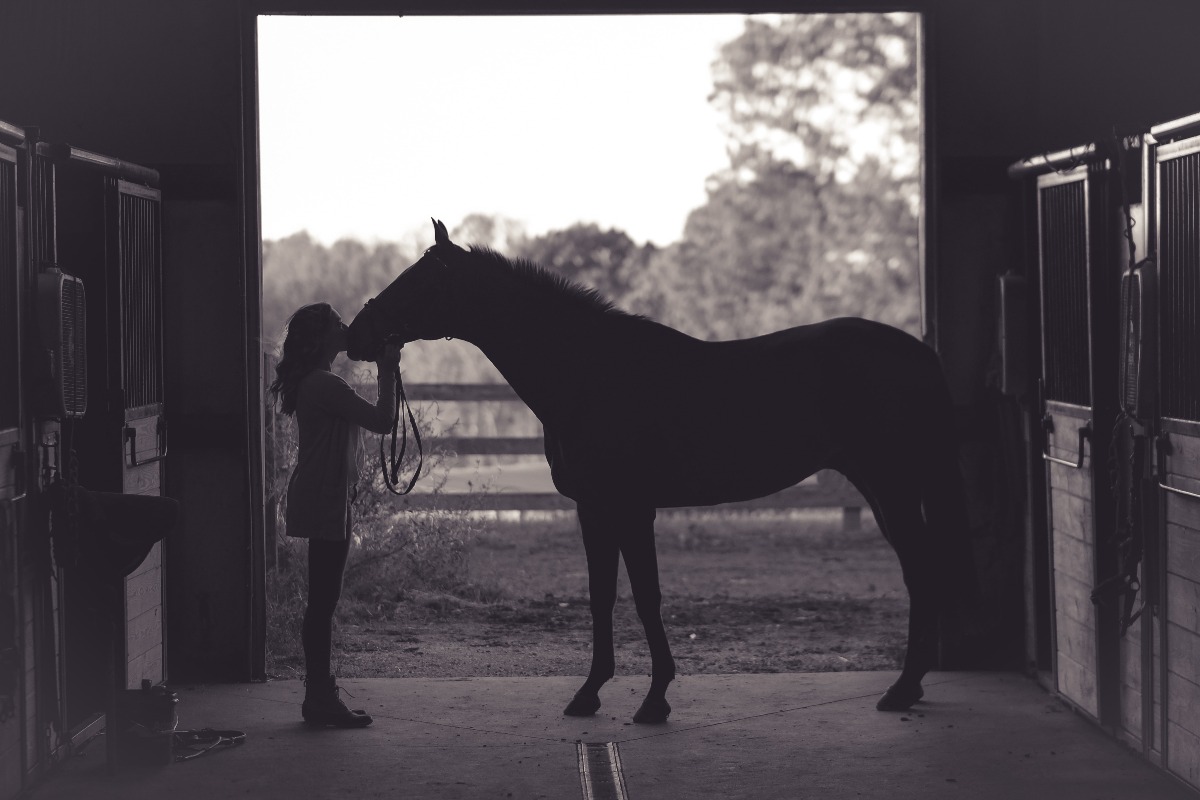 How Equine Therapy Aids in Recovery