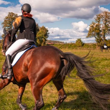 Can Equine Therapy Help Me Trust Again?
