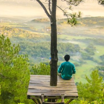 Treatment Approaches for Dual Diagnosis