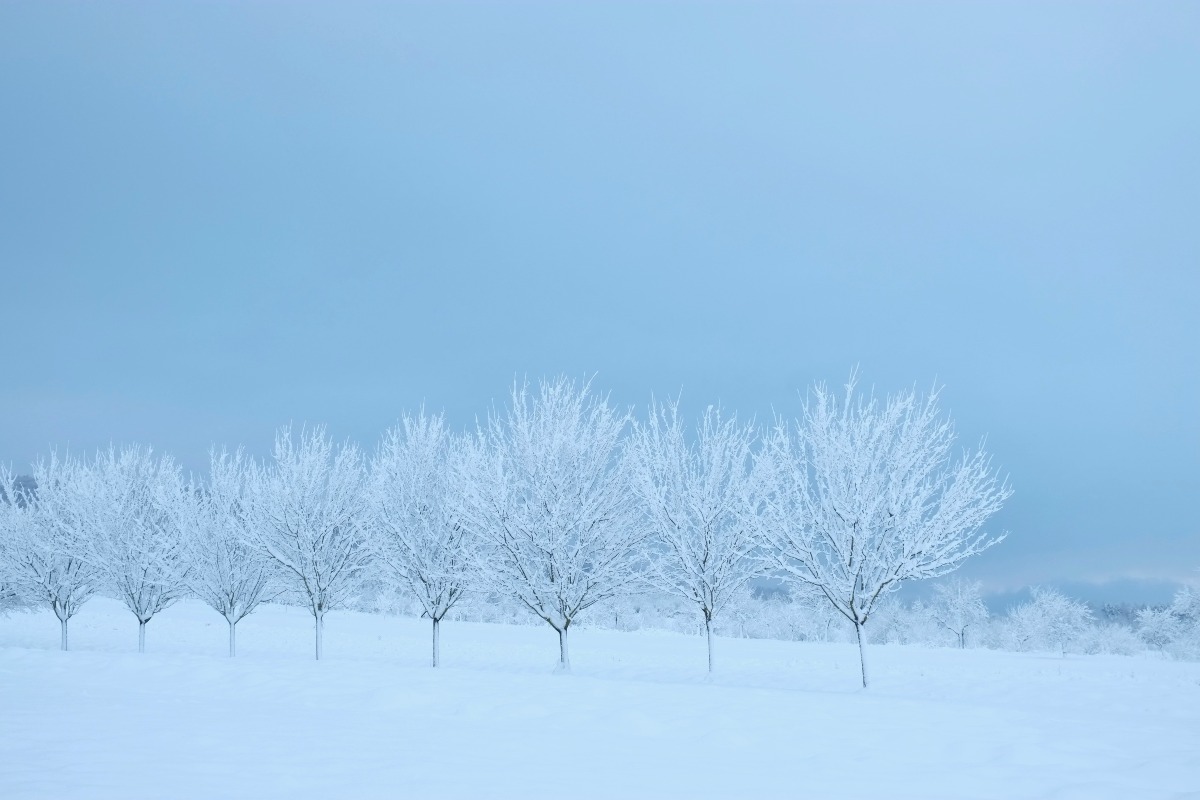 Coping with Seasonal Depression or Seasonal Affective Disorder