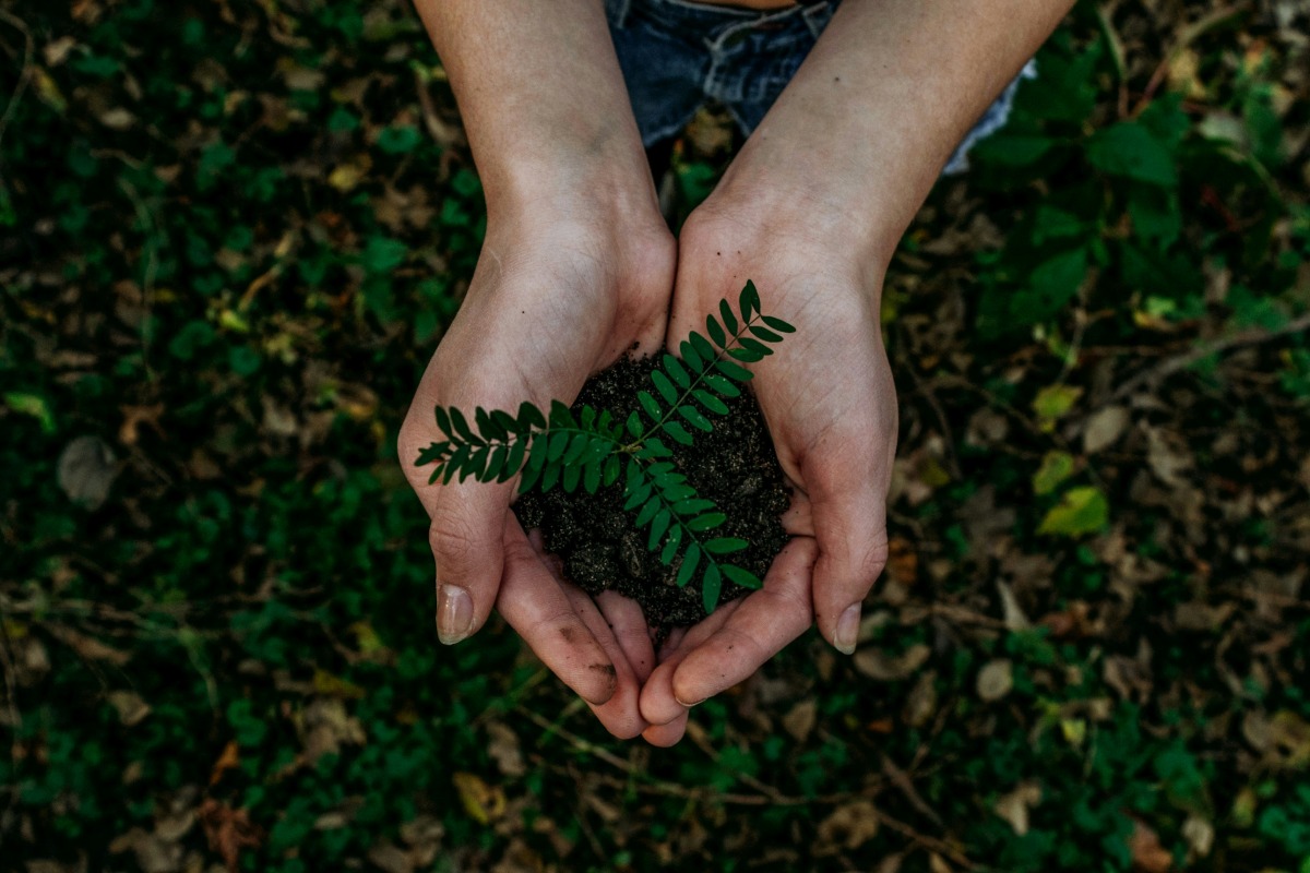 Healing in Nature This Fall