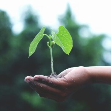 Developing a Mindset to Support Ongoing Personal Growth