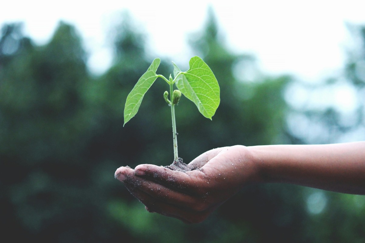 Developing a Mindset to Support Ongoing Personal Growth
